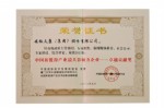 2012中國新能源產業(yè)最具影響力企業(yè)卓越貢獻獎（證書）